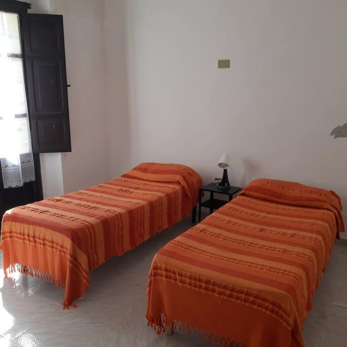 Casa Titti. Intero Appartamento - Fossacesia Εξωτερικό φωτογραφία